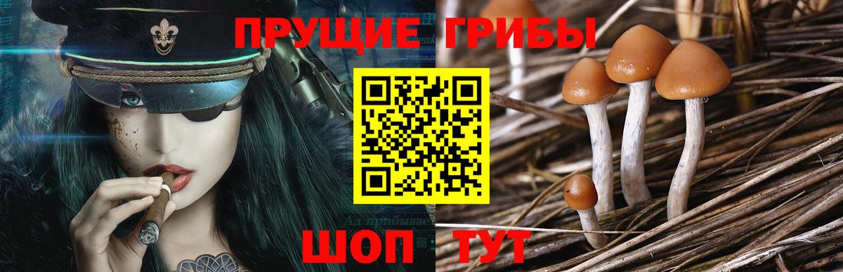 Галлюциногенные грибы мухоморы  Вход с VPN  Первоуральск  Псилоцибиновые грибы Psilocybine cubensis 